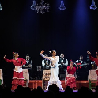 XI Międzynarodowy Festiwal Teatrów Tańca SCENA OTWARTA