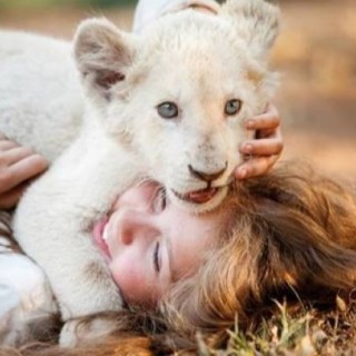 Mia i biały lew