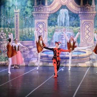 Jezioro Łabędzie - Royal Russian Ballet - Przemysław Sroka