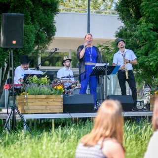 Muzyka z kocyka - koncerty na zielonej trawie. 2017 - Przemysław Sroka