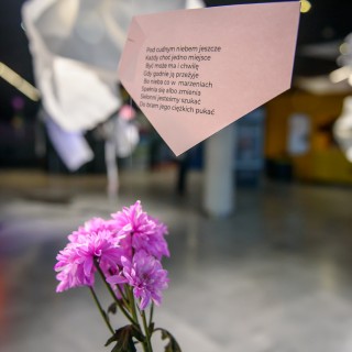"Znów wędrujemy" - widowisko muzyczne - Różowy kwiat, nad nim na sznurku przymocowana kartka ozdobnego papieru z cytatem.  - Fot. : Przemysław Sroka