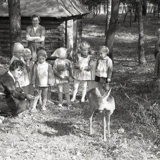 Życie codzienne - Przedszkolaki w mini zoo. Z archiwum Grupy Azoty. 