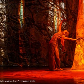 "Bursztynowe drzewo"- Art Color Ballet. Scena Otwarta 2021 - Fot. Przemysław Sroka