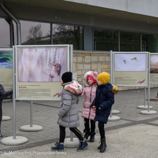 Wystawa interaktywna "Na zdrowie" i wystawa plenerowa "Fotografia Dzikiej Przyrody" - Fot. Przemysław Sroka