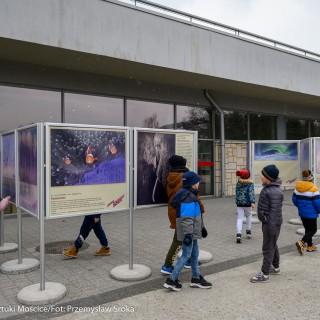 Wystawa interaktywna "Na zdrowie" i wystawa plenerowa "Fotografia Dzikiej Przyrody" - Fot. Przemysław Sroka